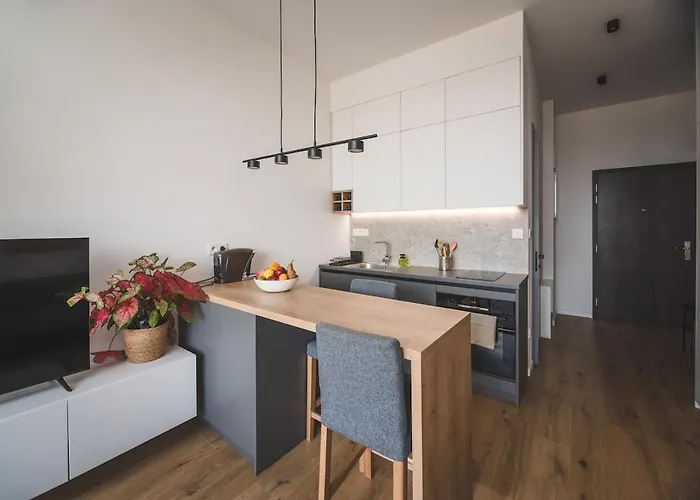 Apartman Modern Downtown *